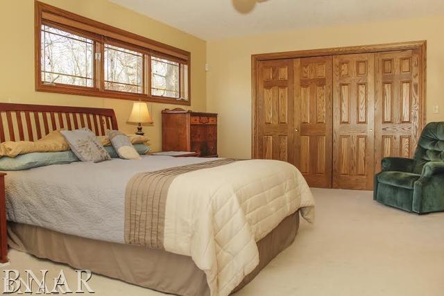 6100 East Road Clinton, IL 61727 - Photo 10 of 29