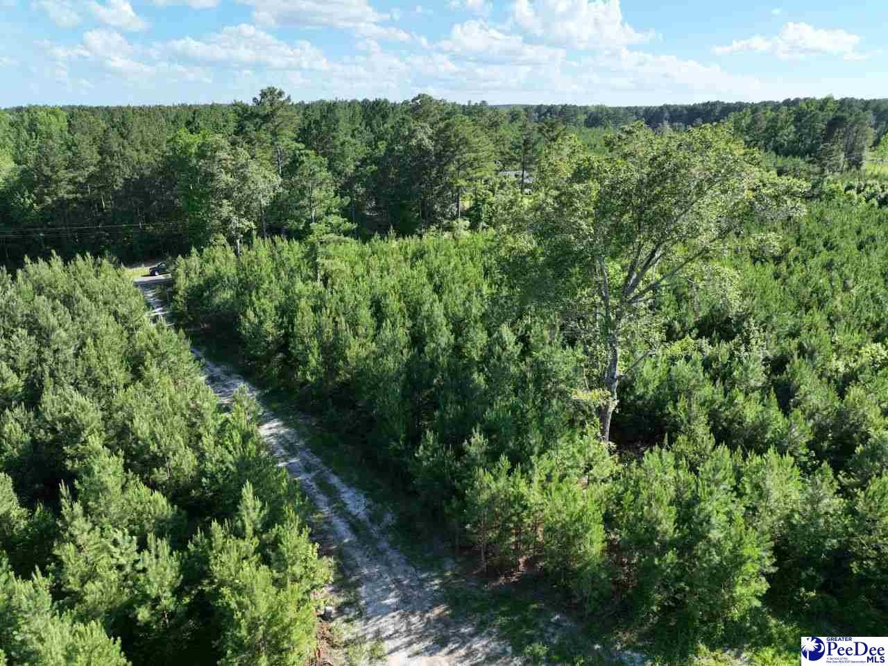 878 Beaver Run Road Hartsville, SC 29550 - Photo 10 of 20 Gallery Image 10