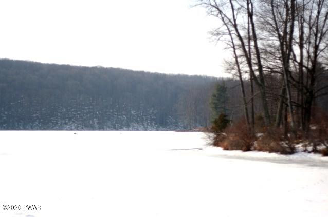 110 Ridge Road Lake Ariel, PA 18436 - Photo 44 of 45 Winter Picture Of Lake