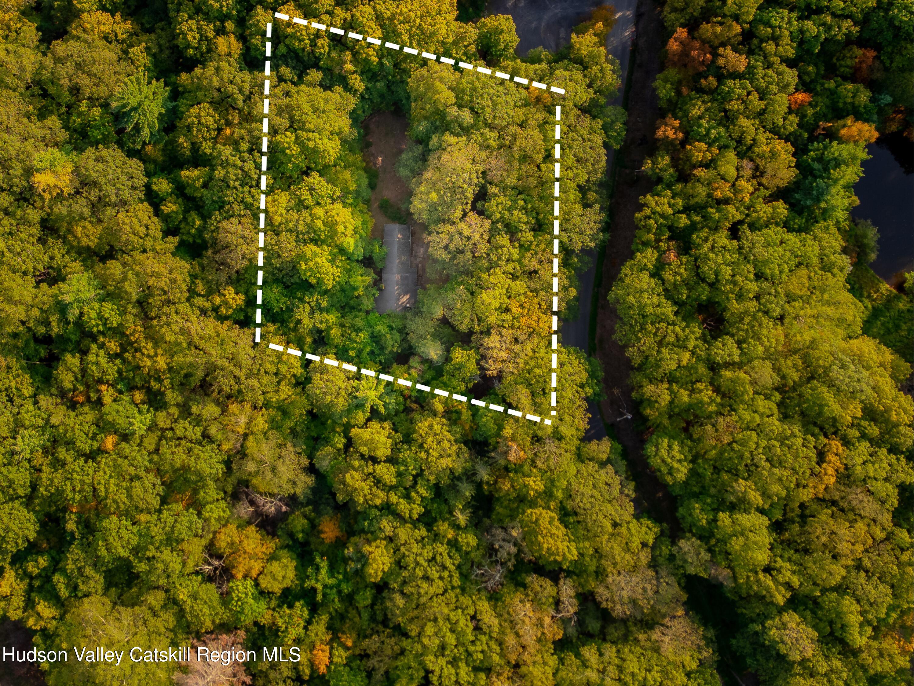 76 Meads Mountain Road Woodstock, NY 12498 - Photo 2 of 28 a view of a tree