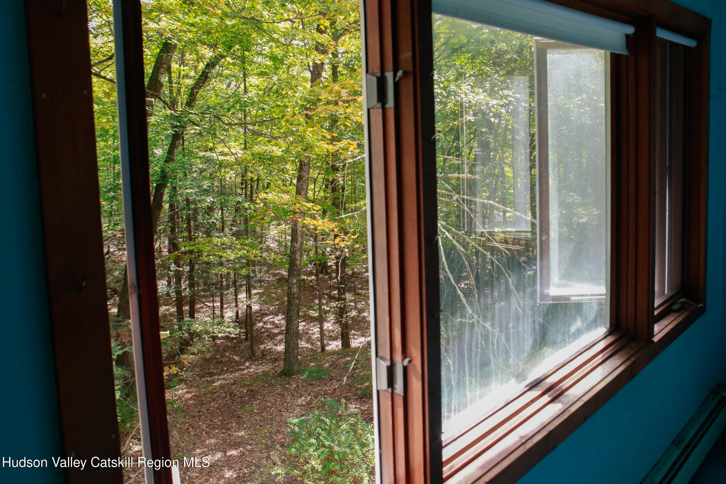 76 Meads Mountain Road Woodstock, NY 12498 - Photo 21 of 28 a view of backyard from window