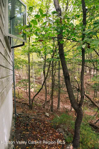 a view of a garden with plants and trees