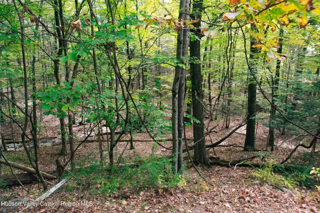 a view of yard with a large trees