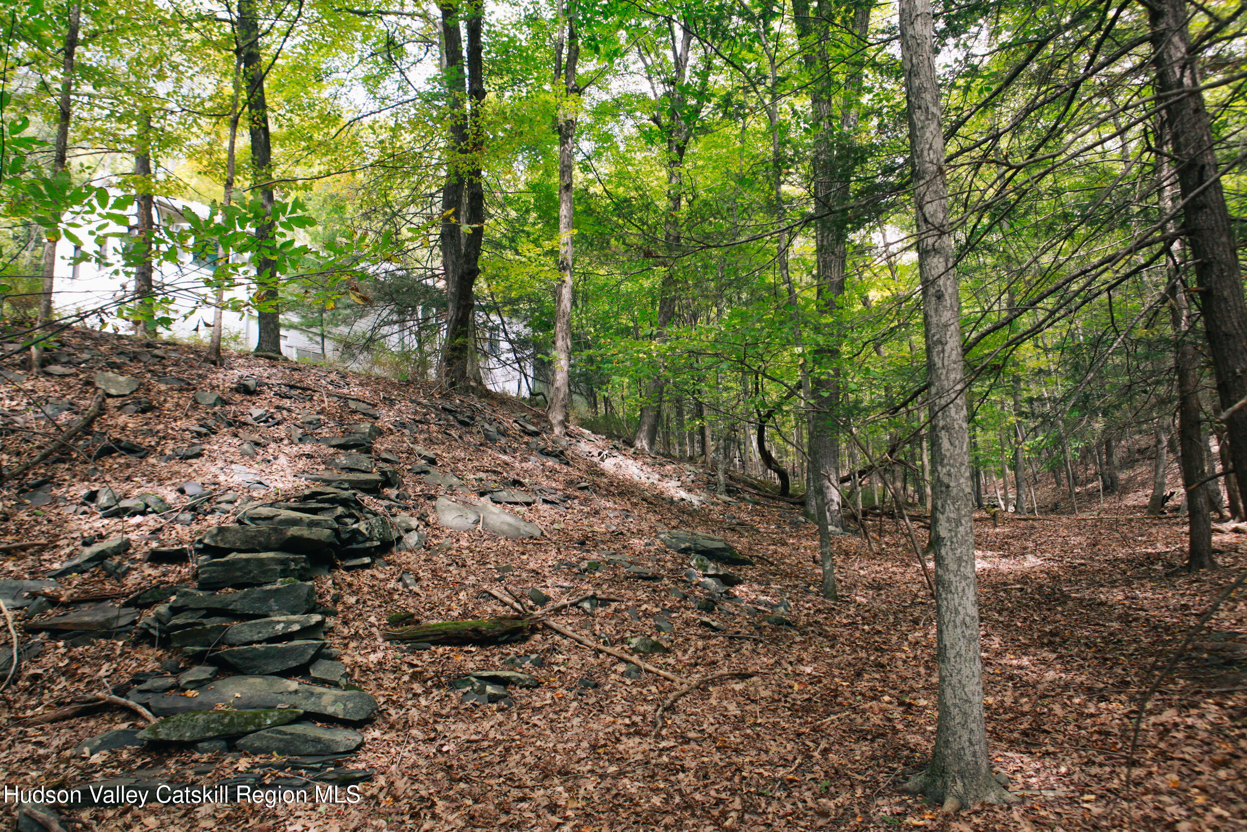 76 Meads Mountain Road Woodstock, NY 12498 - Photo 25 of 28 a view of a forest filled with trees