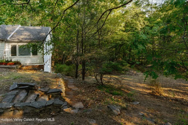 a view of a backyard with large trees