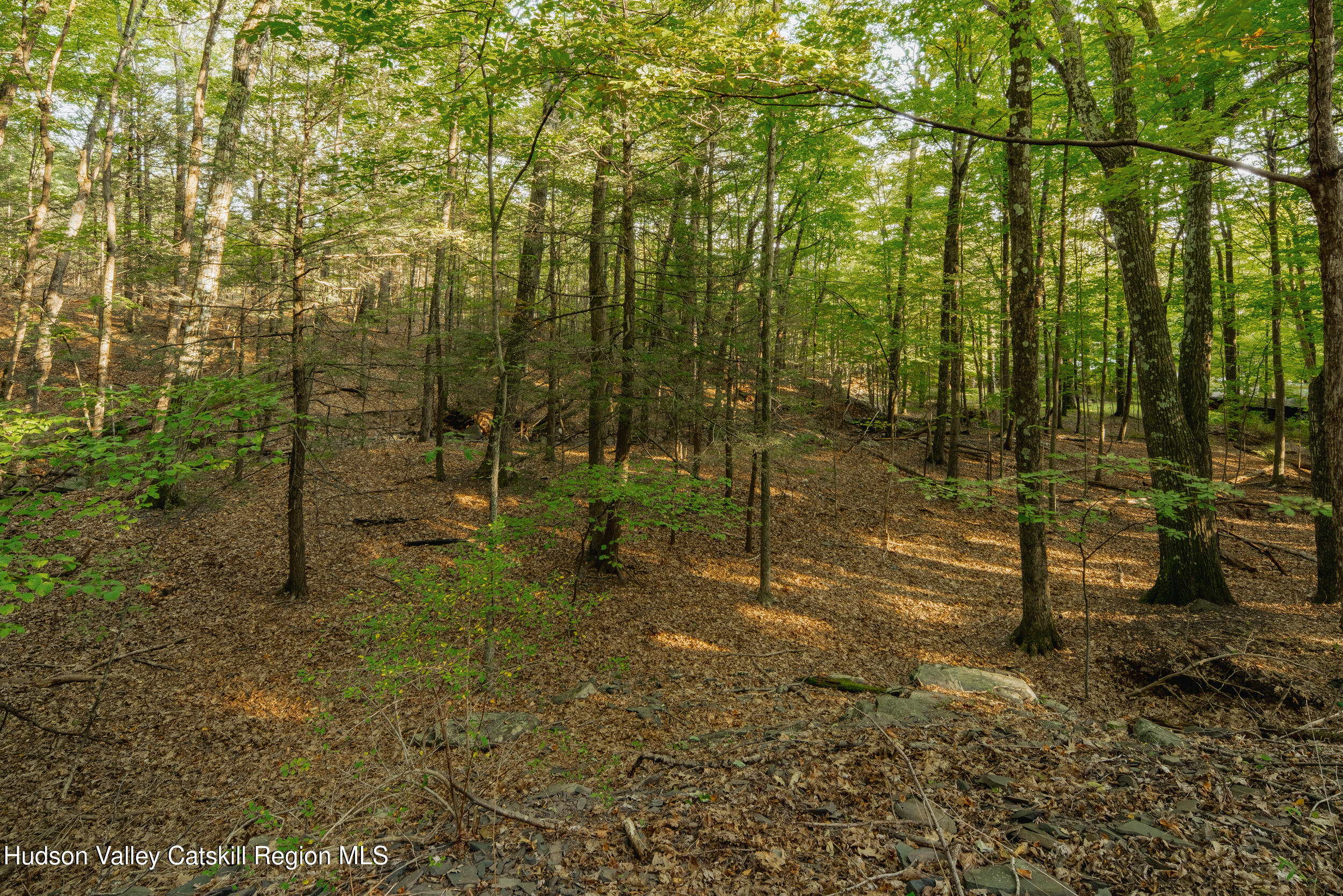 76 Meads Mountain Road Woodstock, NY 12498 - Photo 7 of 28 a view of an outdoor space