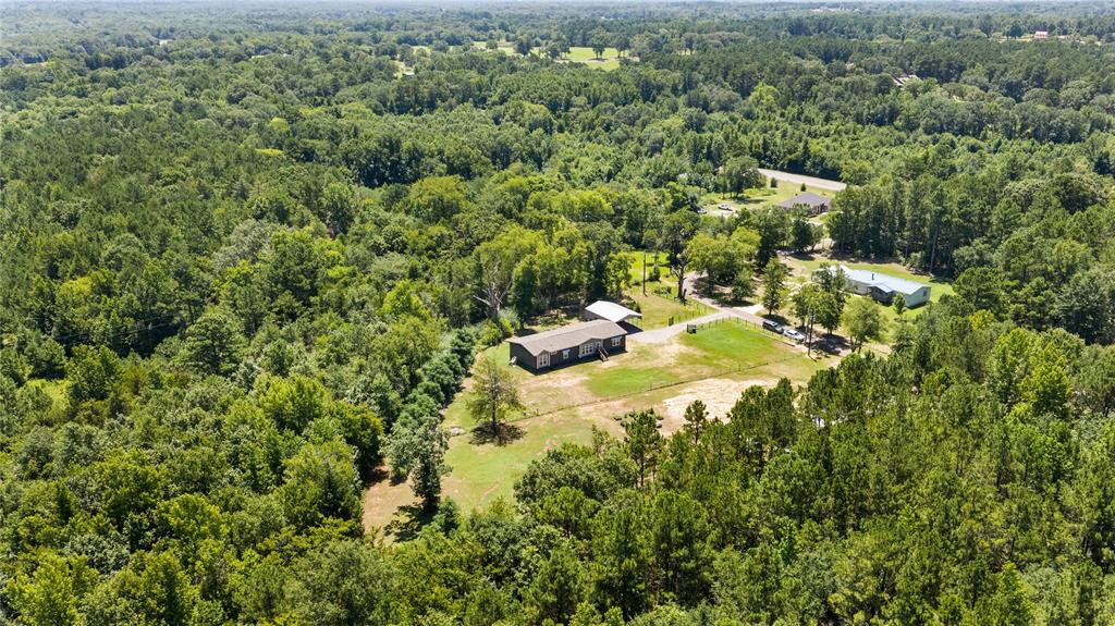 645 VZ County Road Ben Wheeler, TX 75754 - Photo 35 of 38 an aerial view of a house with a yard