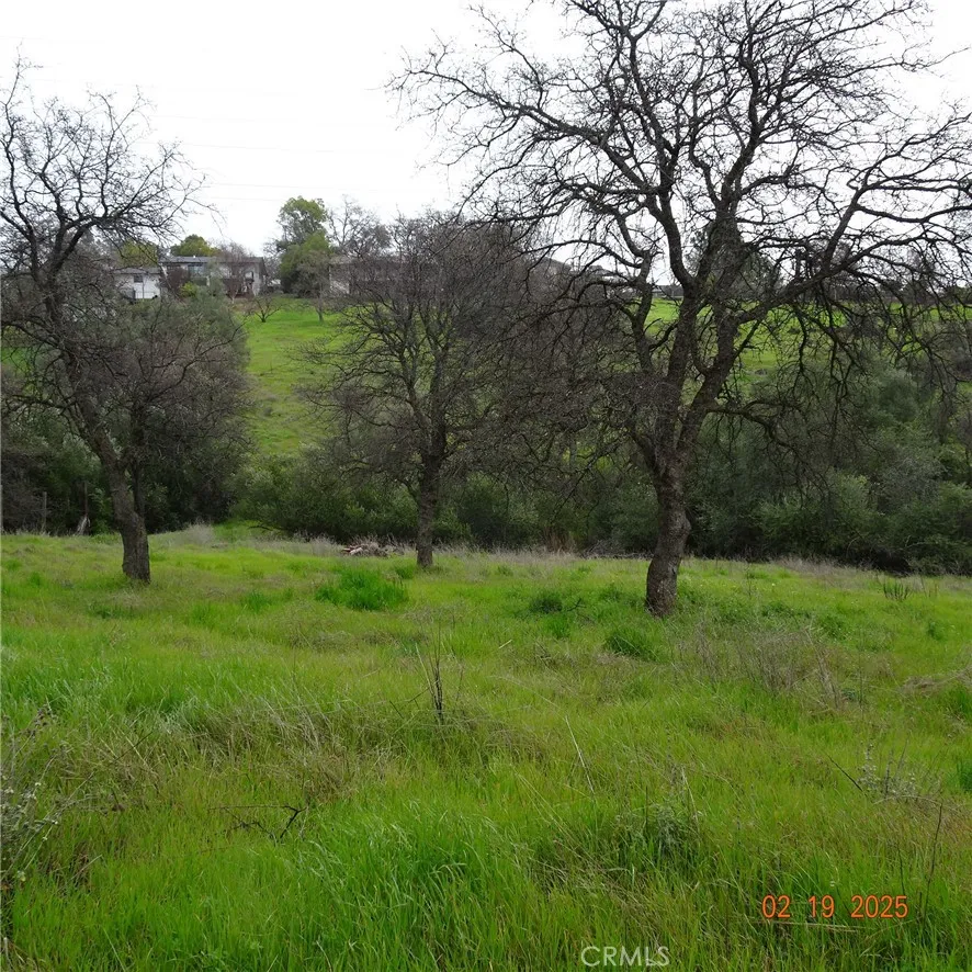 0 Long Bar Road Cincinnati, CA 45219 - Photo 2 of 9 a view of a green field with a tree