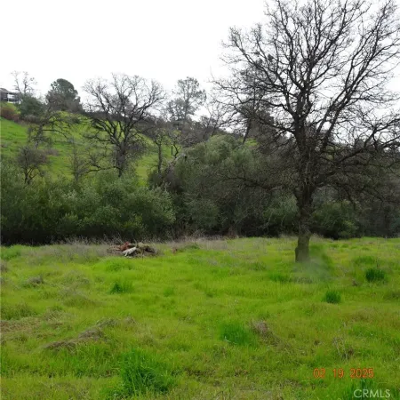 a view of grassy field with benches and trees