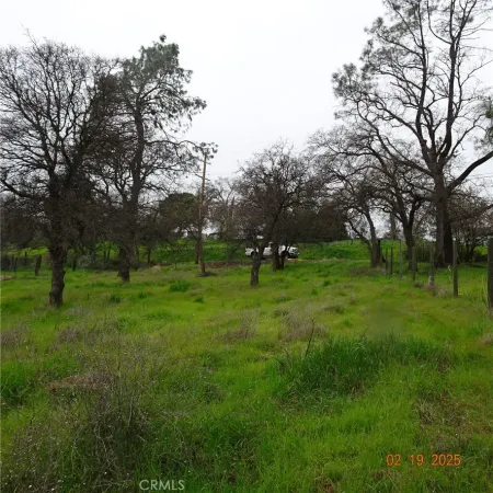 a view of a green field with lots of trees