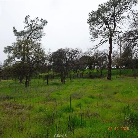 a view of grassy field with benches and trees all around