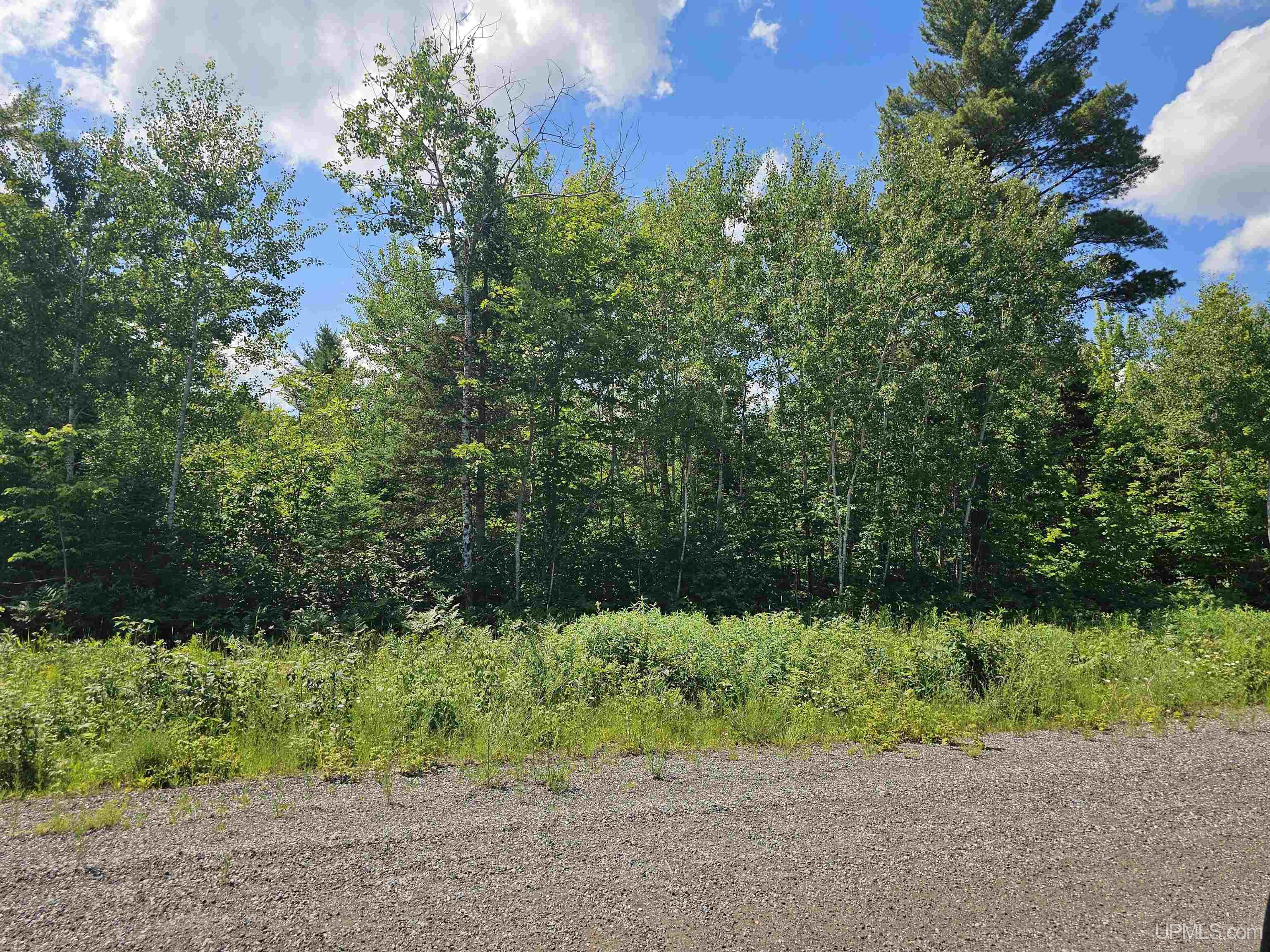 Tbd Pike Pond Drive, Unit #27 Ishpeming, MI 49849 - Photo 1 of 4