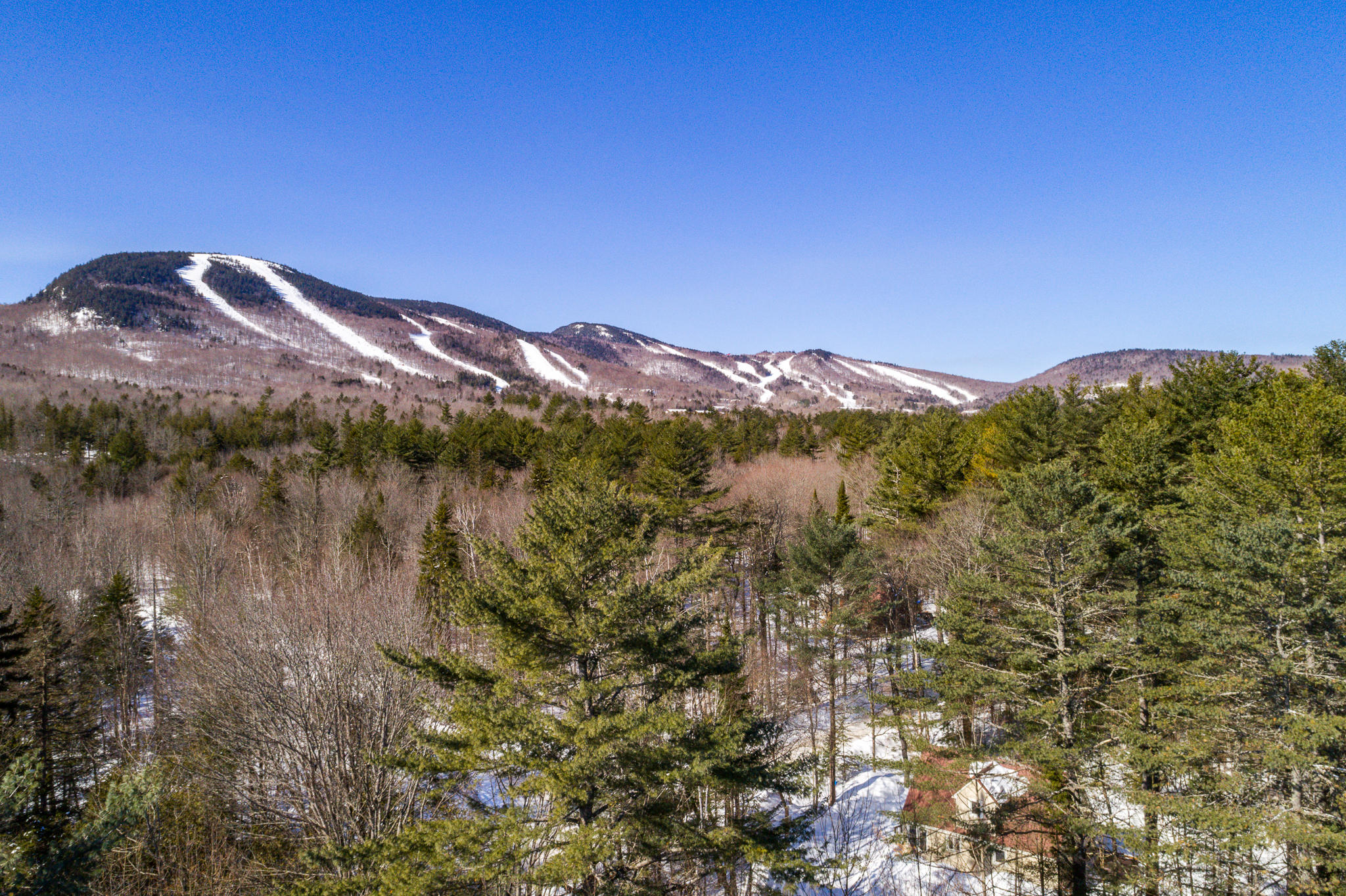 0 Fox Run Road Newry, ME 04261 - Photo 11 of 12 Coombs Lots-9