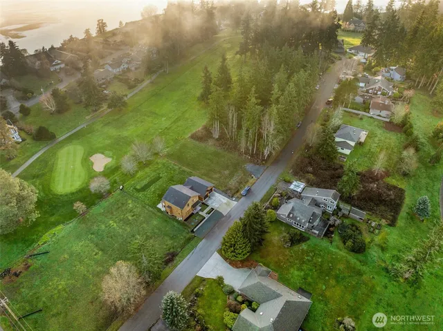 an aerial view of residential houses with outdoor space and trees