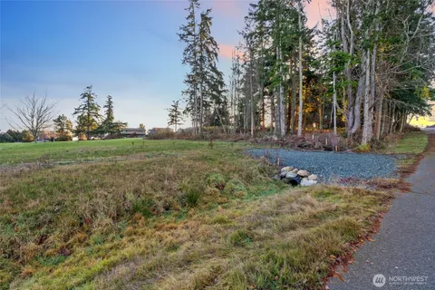 a view of a field with trees in the background