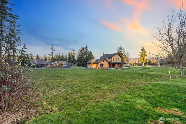 a view of a park with plants and trees