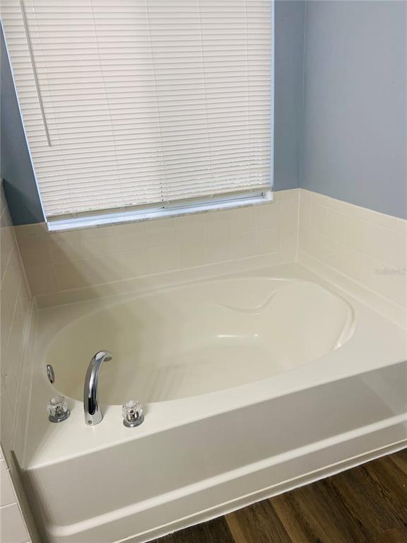11658 Mango Ridge Boulevard Seffner, FL 33584 - Photo 14 of 20 a bathroom with a bathtub