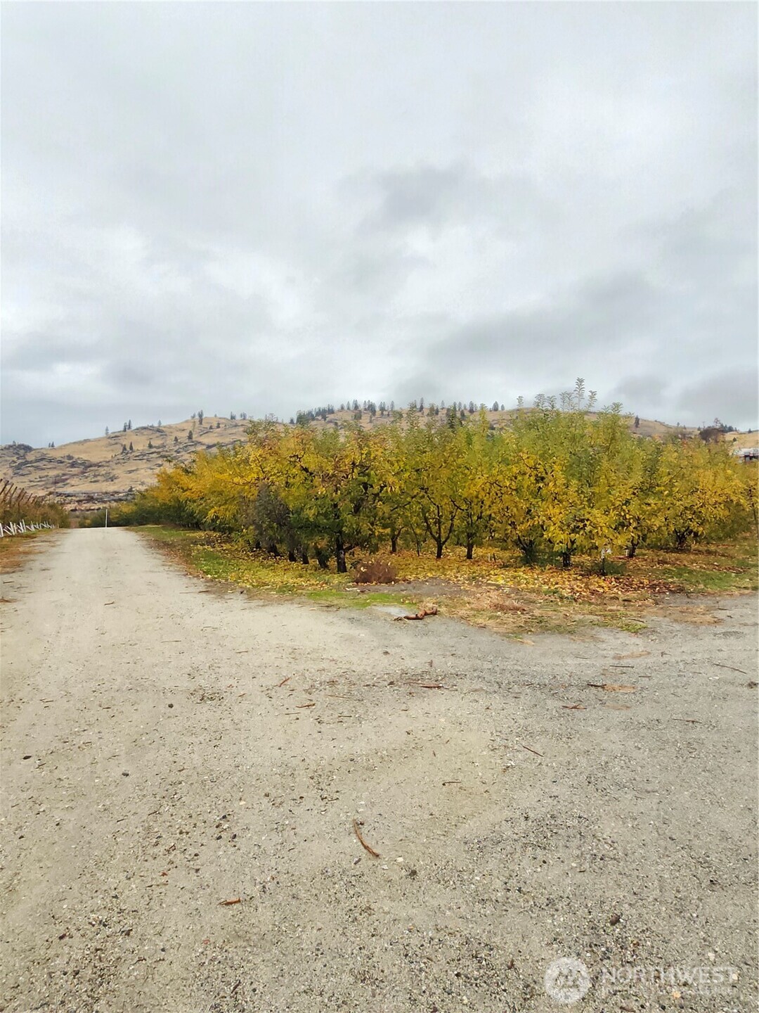 900 Lower Joe Creek Road Manson, WA 98831 - Photo 2 of 12 Gallery Image 2