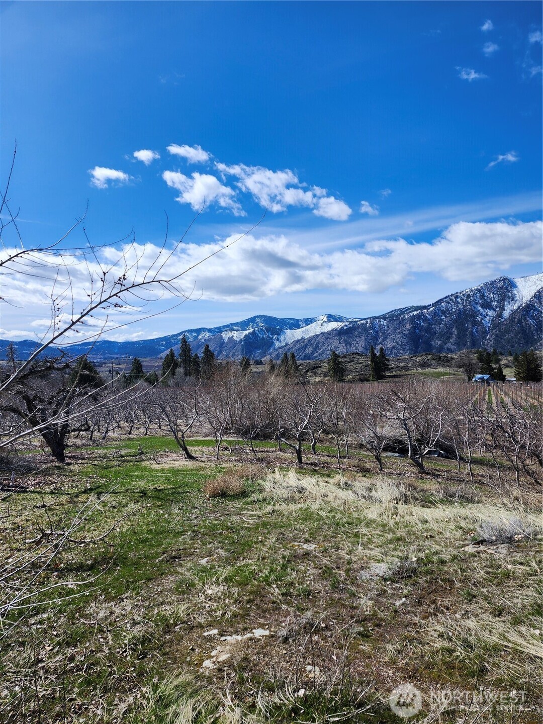 900 Lower Joe Creek Road Manson, WA 98831 - Photo 4 of 12 Gallery Image 4