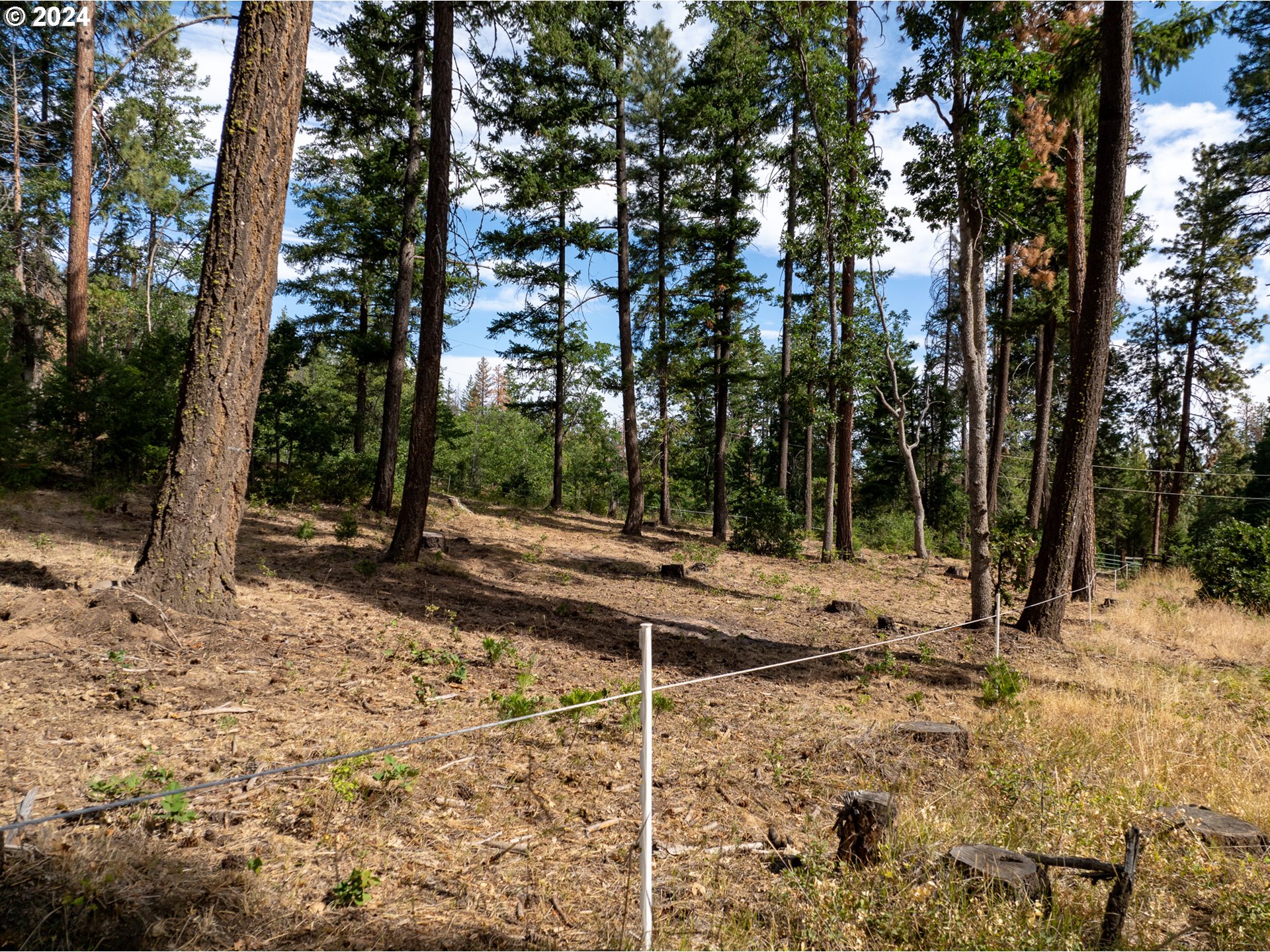 52265 Kelly Springs Road Maupin, OR 97037 - Photo 19 of 27 Gallery Image 19