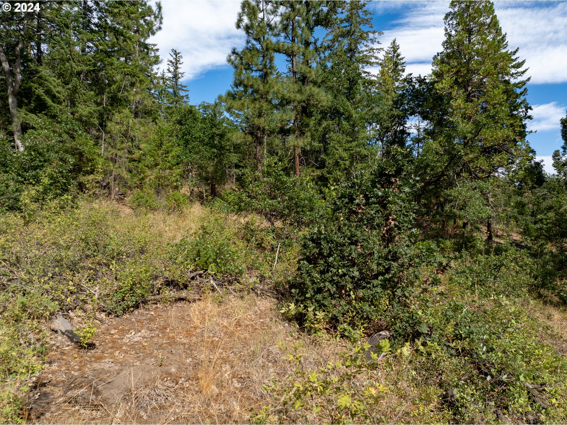 52265 Kelly Springs Road Maupin, OR 97037 - Photo 20 of 27 Gallery Image 20