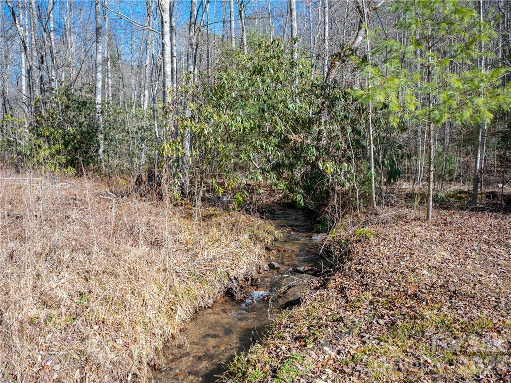 Tbd Long Branch Road Swannanoa, NC 28778 - Photo 9 of 18