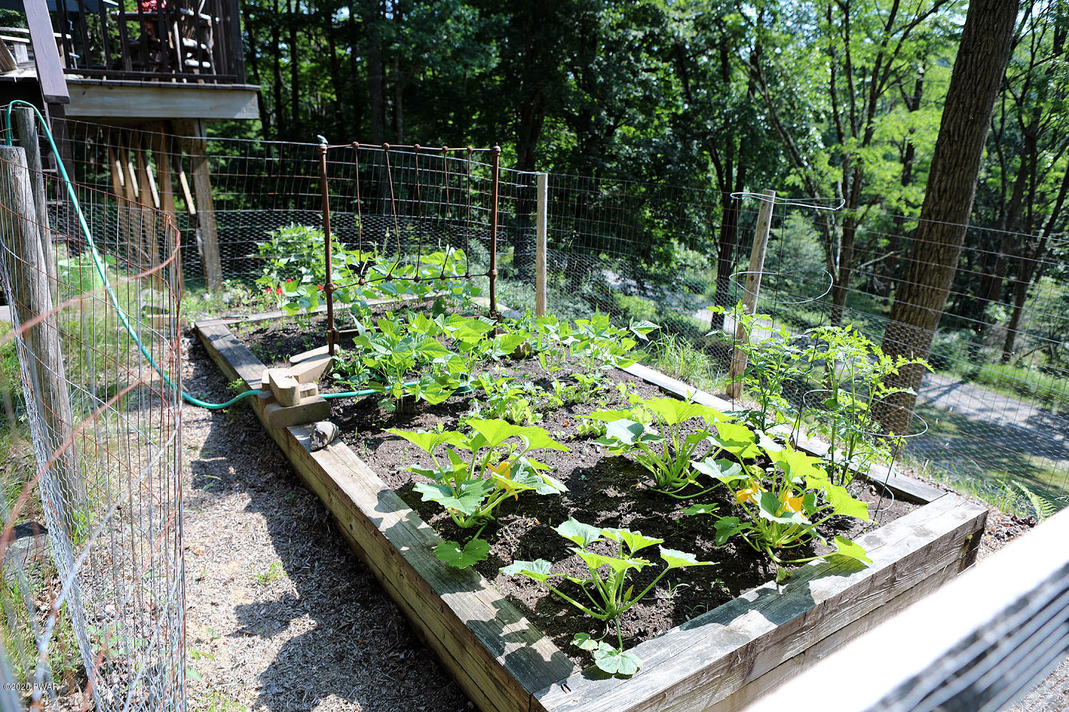 4287 River Road Equinunk, PA 18417 - Photo 3 of 29 Lush gardens