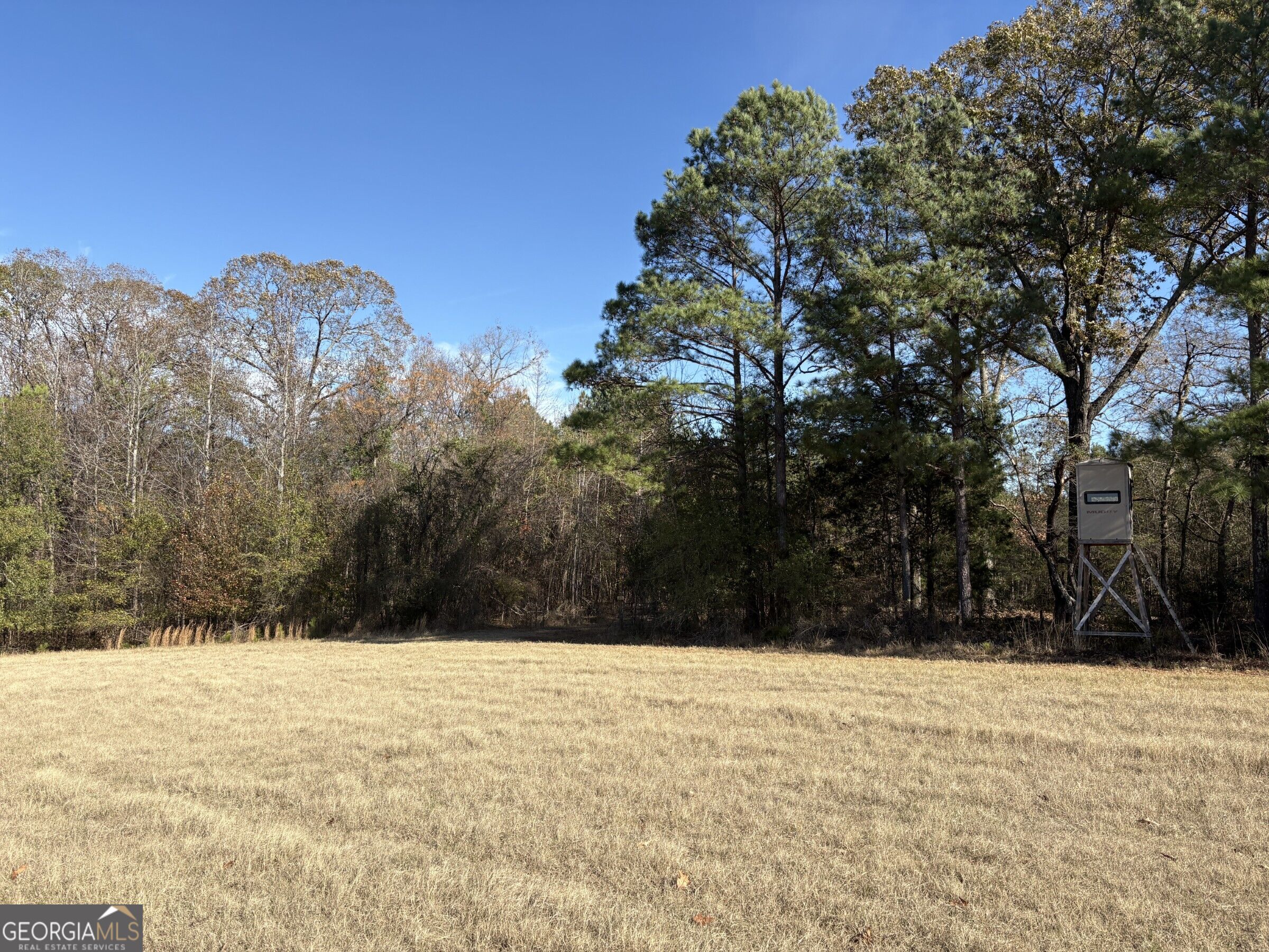 T1 Old Zebulon Road Forsyth, GA 31029 - Photo 44 of 112 Gallery Image 44