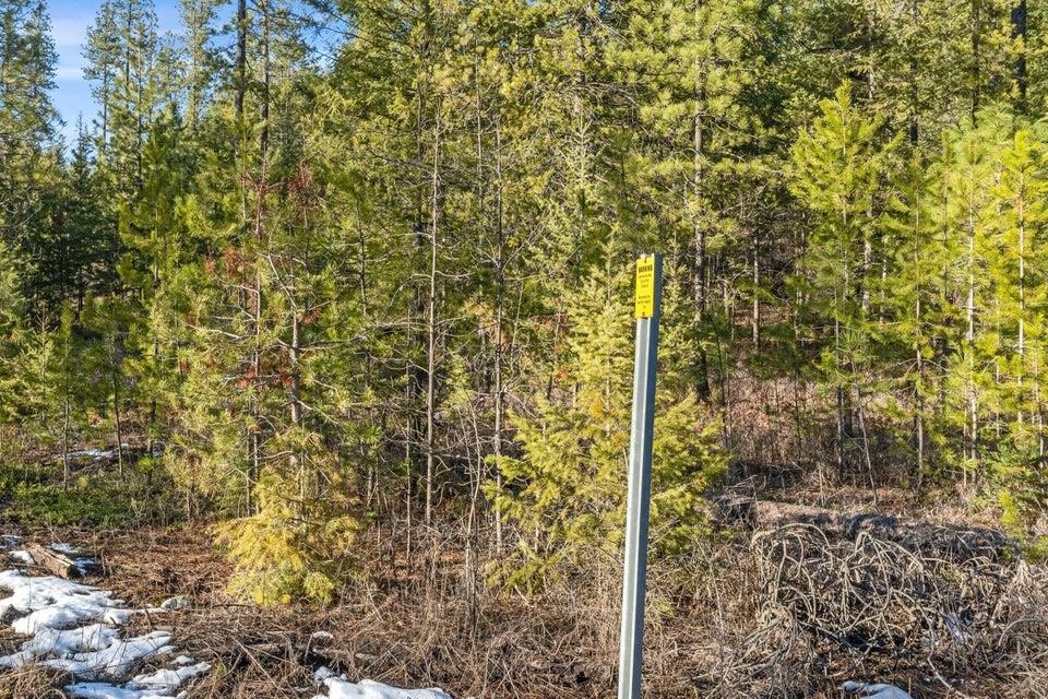 28-xx Burnt Valley Road Chewelah, WA 99109 - Photo 14 of 18