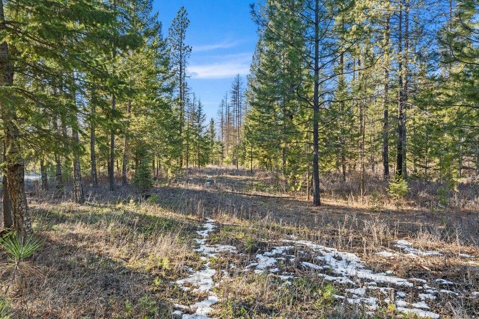 28-xx Burnt Valley Road Chewelah, WA 99109 - Photo 15 of 18