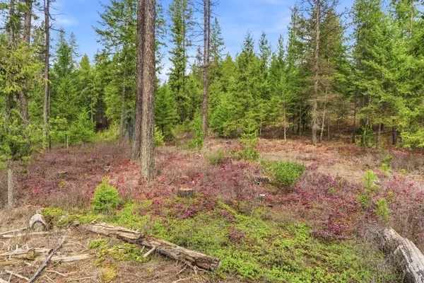 $150,000 | 28-xx Burnt Valley Road, Chewelah, WA 99109
