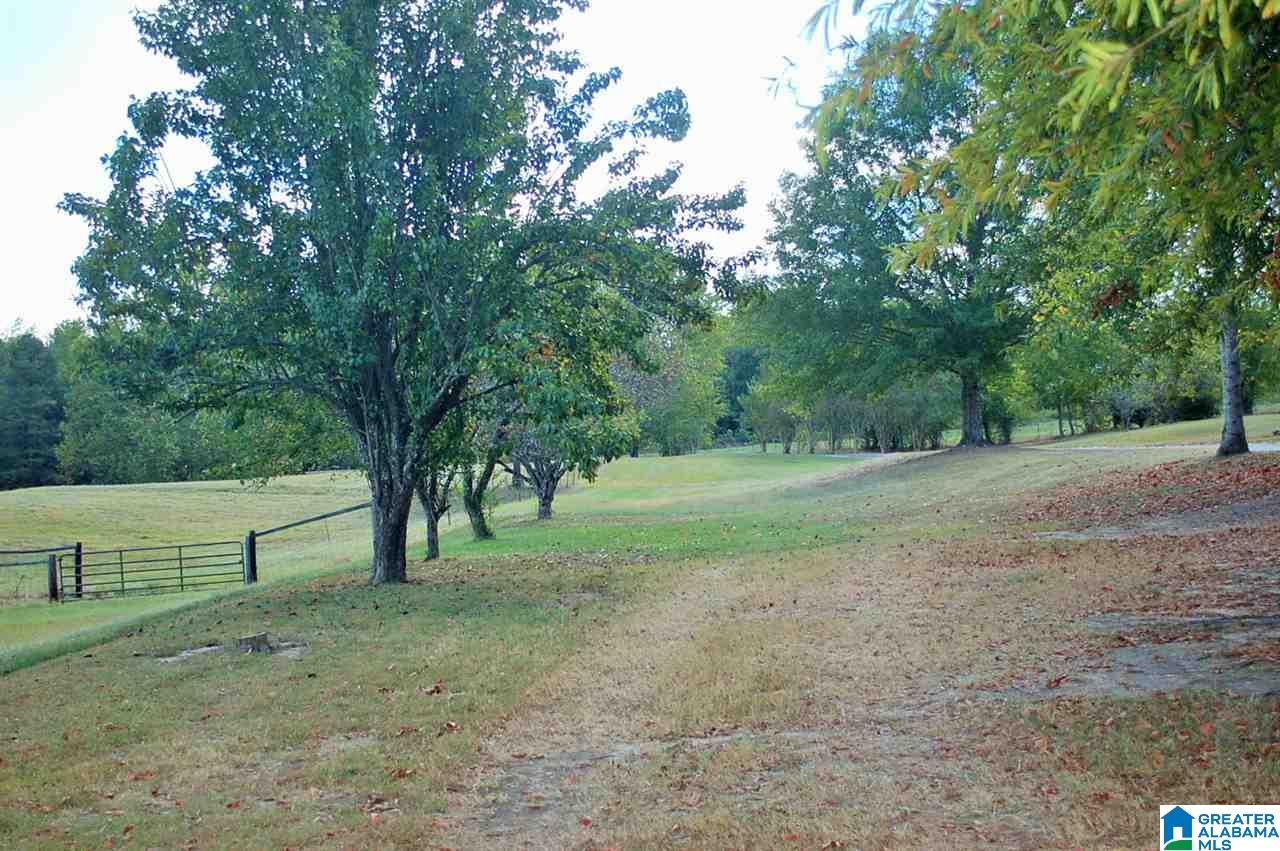 905 Sitton Road Hayden, AL 35079 - Photo 8 of 34