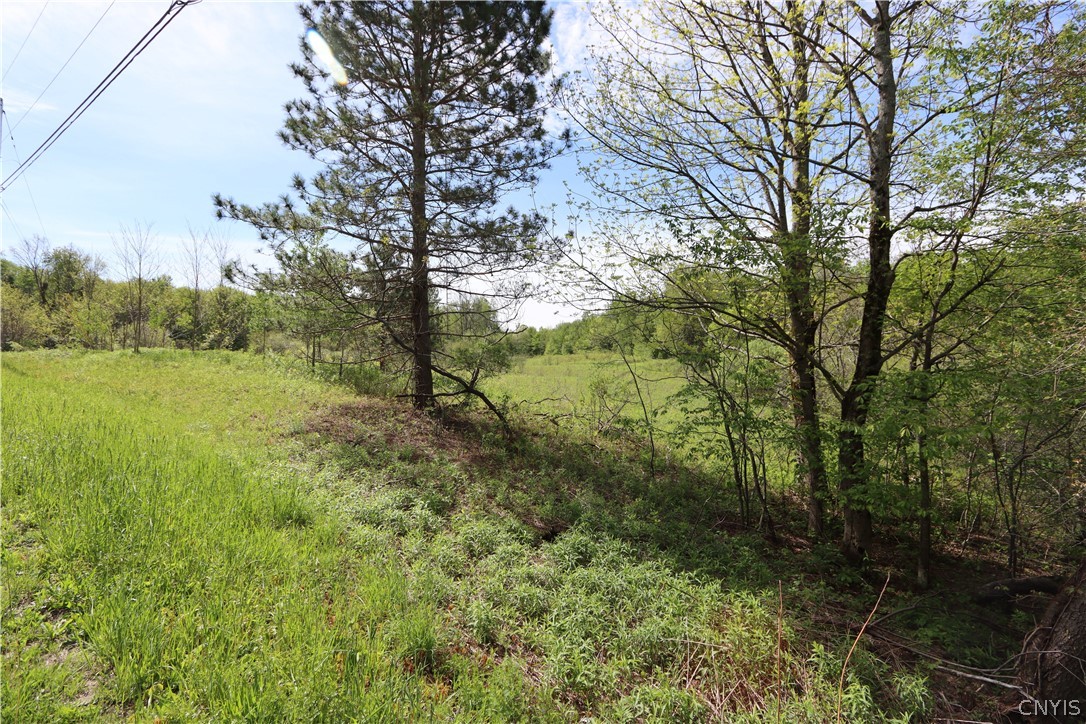 175 Bremm Road Boylston, NY 13083 - Photo 30 of 30