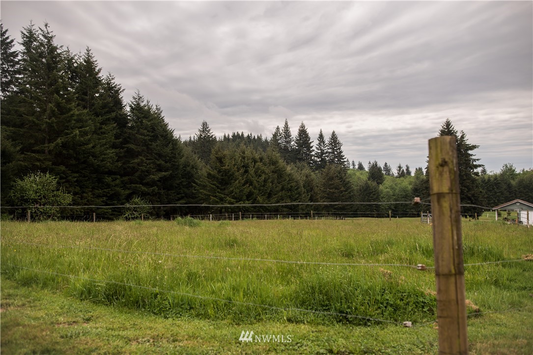 255 Grasseth Poston Road Longview, WA 98632 - Photo 4 of 36 Gallery Image 4