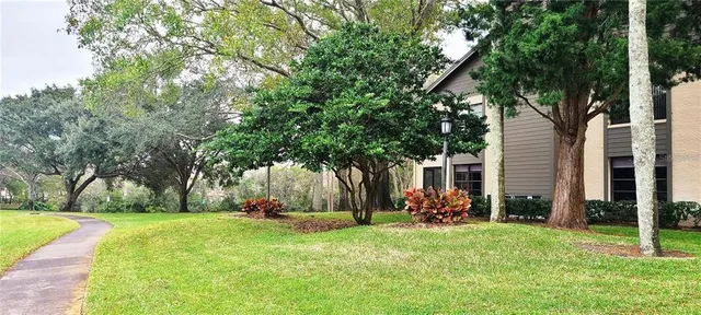 a view of a house with backyard and a tree
