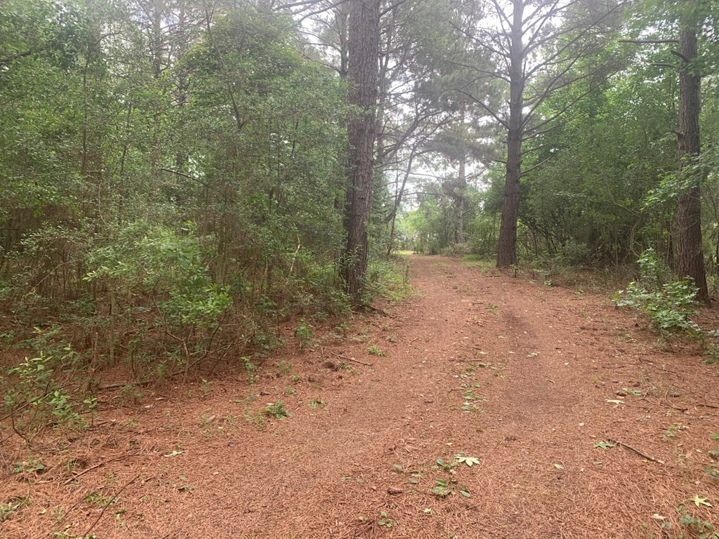 24 Willie Roberts Road Jayess, MS 39641 - Photo 7 of 11 Photo 7