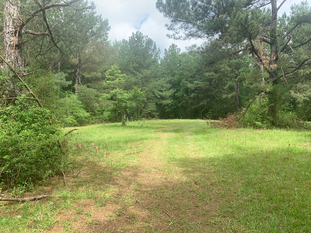24 Willie Roberts Road Jayess, MS 39641 - Photo 8 of 11 Photo 8