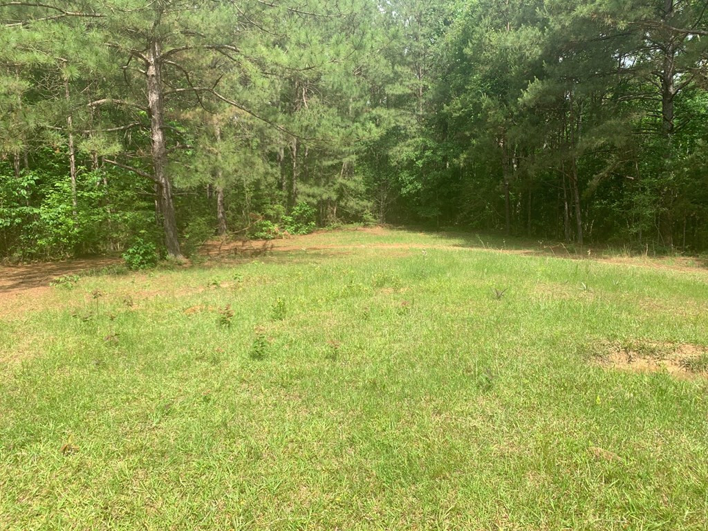 24 Willie Roberts Road Jayess, MS 39641 - Photo 9 of 11 Photo 9