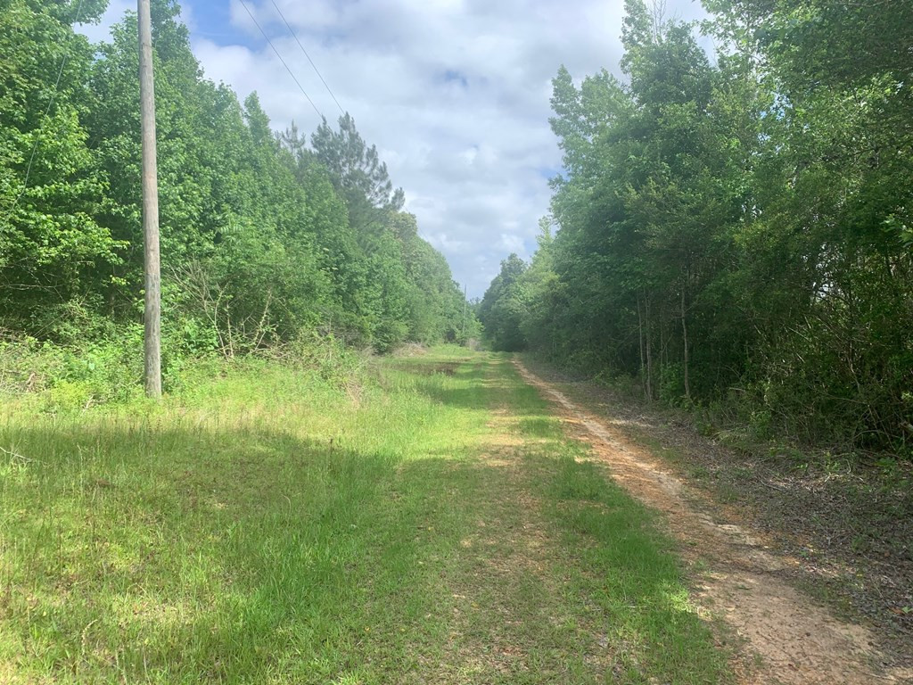 24 Willie Roberts Road Jayess, MS 39641 - Photo 10 of 11 Photo 10