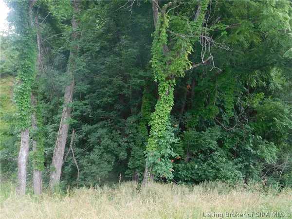 $21,000 | Borden Greenville Road, Borden, IN 47106