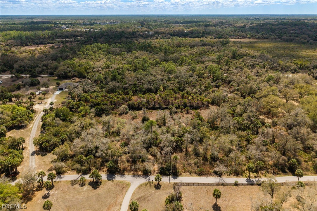 3751 Bateman Road Alva, FL 33920 - Photo 6 of 26 a view of a lake with a mountain