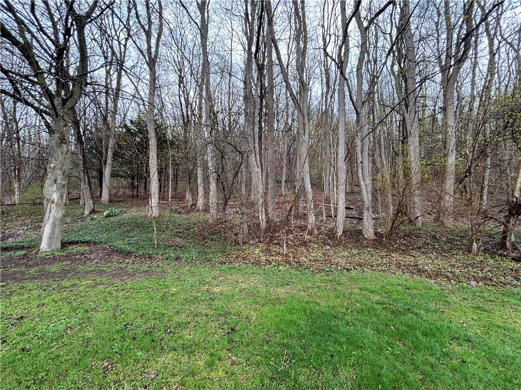 2190 Welcher Road Arcadia, NY 14513 - Photo 23 of 25