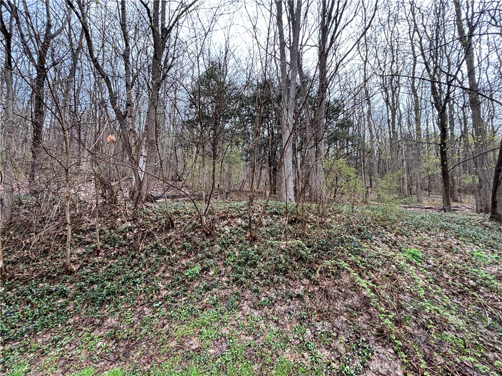 2190 Welcher Road Arcadia, NY 14513 - Photo 25 of 25