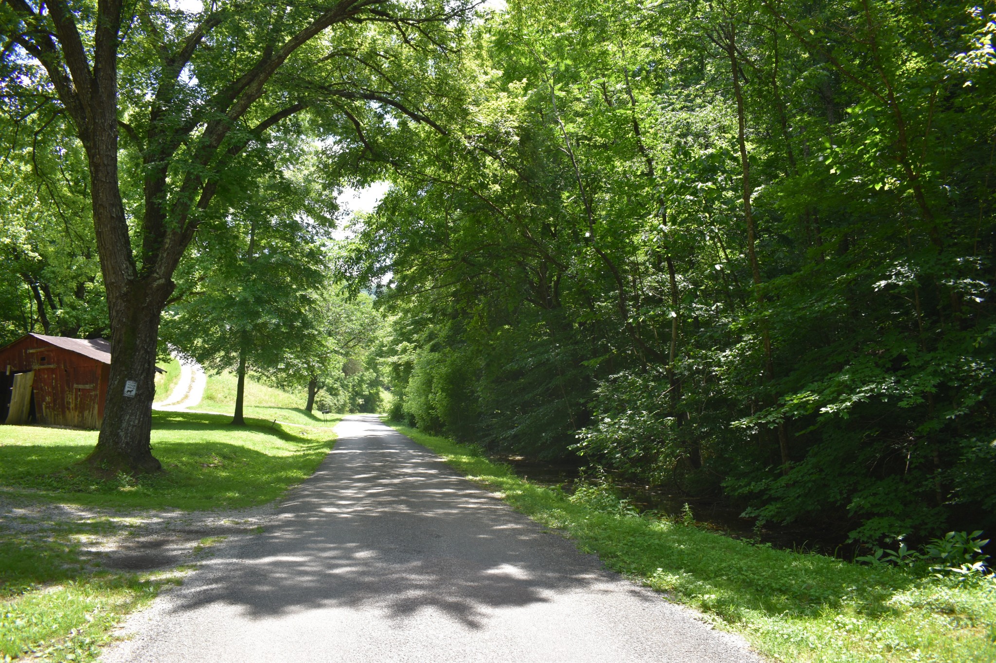 86 Dog Branch Road Pleasant Shade, TN 37145 - Photo 9 of 24