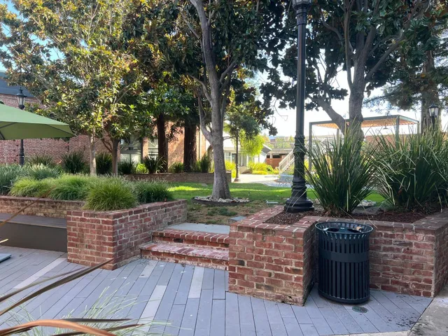 a view of a backyard with plants and trees
