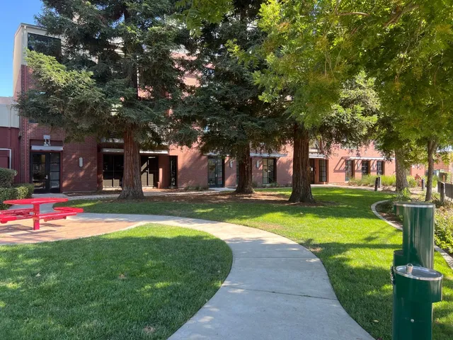 a view of a house with swimming pool and a large tree