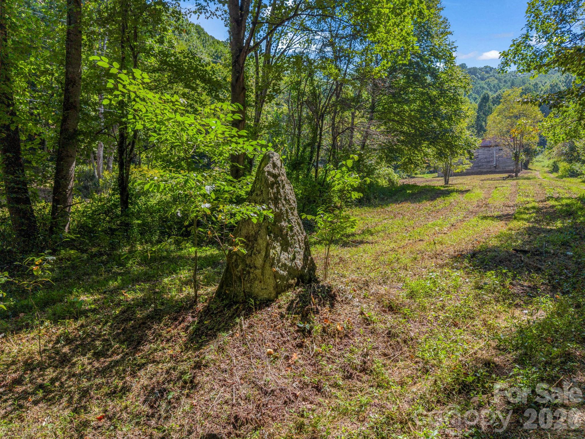 1545 East Fork Road Marshall, NC 28753 - Photo 8 of 31 Gallery Image 8