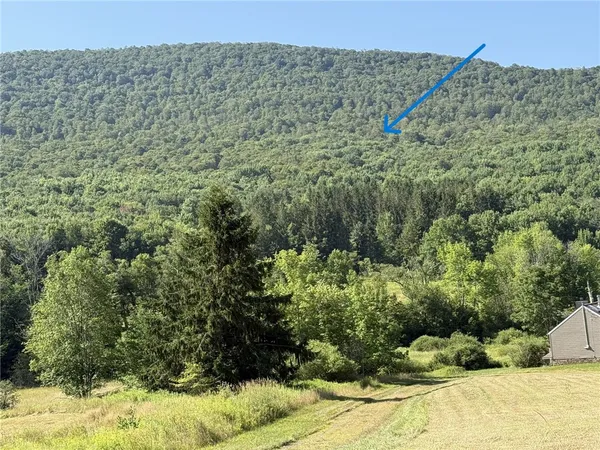 $199,000 | 0 Roses Brook Road, Hobart, NY 13788