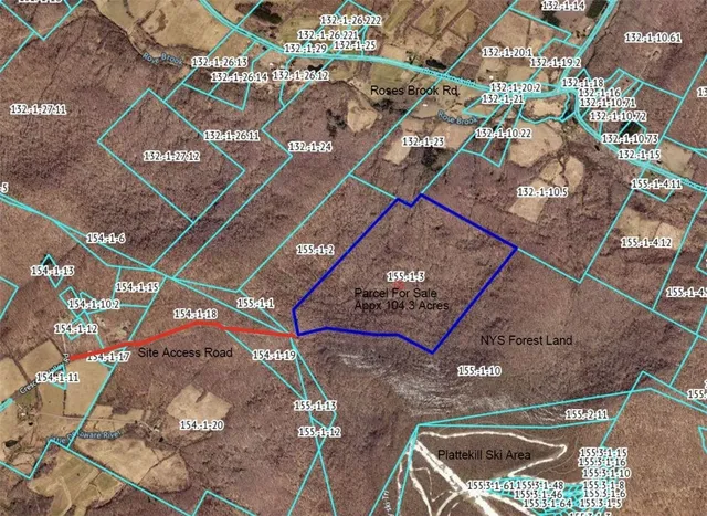 $199,000 | 0 Roses Brook Road, Hobart, NY 13788