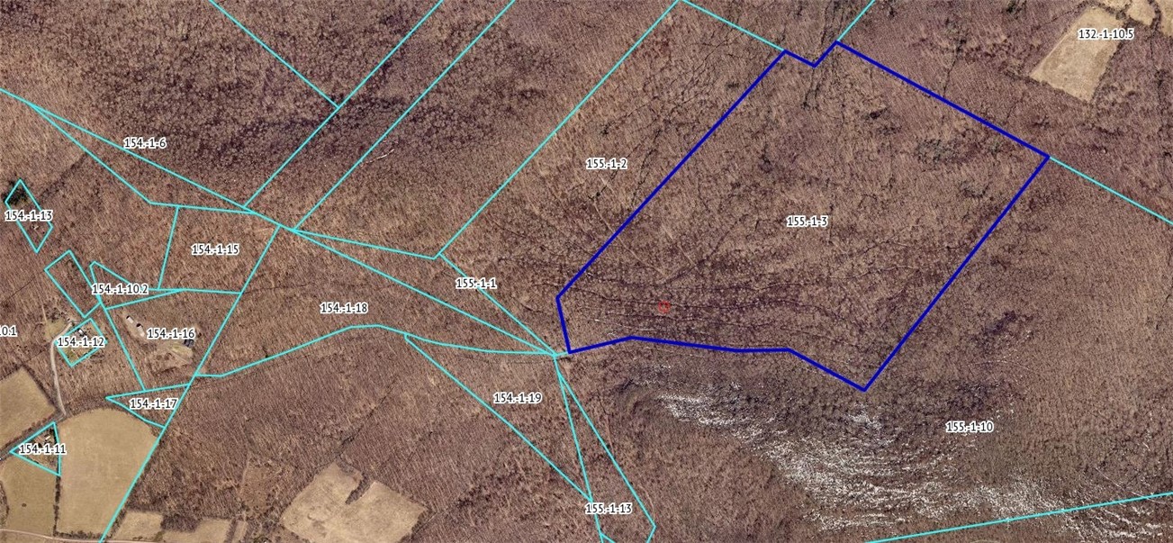 0 Roses Brook Road Hobart, NY 13788 - Photo 3 of 3